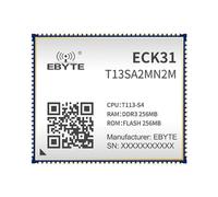 T113-S Core Board Computer a scheda singola Cortex-A7 RISC-V HiFi4 DSP ECK31 Compact Linux Low Power High Integration, decodifica hardware 4K, sistemi integrati, controllo industriale (ECK31