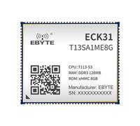 T113-S Core Board Computer a scheda singola Cortex-A7 RISC-V HiFi4 DSP ECK31 Compact Linux Low Power High Integration, decodifica hardware 4K, sistemi integrati, controllo industriale (ECK31
