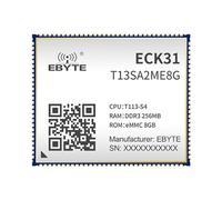 T113-S Core Board Computer a scheda singola Cortex-A7 RISC-V HiFi4 DSP ECK31 Compact Linux Low Power High Integration, decodifica hardware 4K, sistemi integrati, controllo industriale (ECK31