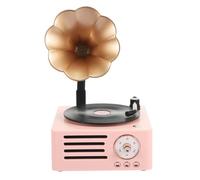 T15 Petunia Retro Vinyl Record Player Multifunzione wireless Mini Bluetooth Audi
