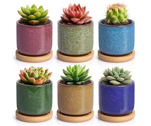 T4U 6.3 Cm Vaso Per Piante Da Interno In Ceramica Per Piante Grasse E Cactus, Mini Vaso Per Decorazione, Set Da 6 Colori Con Sottovaso, Porta Piante Da Interno (Senza Piante)