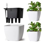 T4U Set da 3 Vaso Autoirriganti 17,5 cm Quadrati con Indicatore dell’Acqua, Vaso per Piante da Interno per Principianti e Persone Impegnate, Vasi per Edera e Pothos, Uso Interno ed Esterno (Bianco)