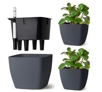 T4U Set da 3 Vaso Autoirriganti 17,5 cm Quadrati con Indicatore dell’Acqua, Vaso per Piante da Interno per Principianti e Persone Impegnate, Vasi per Edera e Pothos, Uso Interno ed Esterno (Grigio)