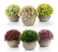 T4U set da 6 piante finte da interno colorate, piante artificiali decorative per ufficio e casa, ideali per chi desidera arredare scrivanie e spazi interni senza manutenzione