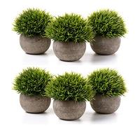 T4U set da 6 piante finte da interno colorate verde erba, piante artificiali decorative per ufficio e casa, ideali per chi desidera arredare scrivanie e spazi interni senza manutenzione