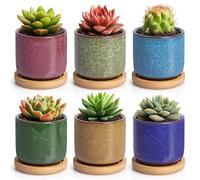 T4U Vasi in Ceramica per Piante Grasse, Vasetti per Succulente Set da 6 | Vasi cactus, Vasi con sottovaso, Scrivania, davanzale, scaffale, casa e ufficio