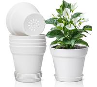 T4U Vaso per Piante da Interno 12.5 cm in Plastica con Sottovaso Set da 6 Vasi Rotondi con Fori di Drenaggio per Erbe e Piante Vasi per Orchidee per Casa Balcone Bianco