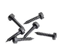 T66548 N Minitrix Vite per binari 7 mm