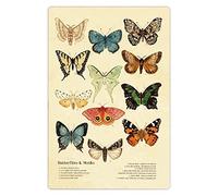 Ta di farfalle e falene, insegne in metallo, tipi di farfalle e falene, poster, targhe retrò per l'alfabetizzazione sulle farfalle, decorazioni murali per casa, fattoria, aula, 8x12 pollici