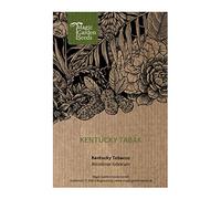 Tabacco Kentucky (Nicotiana Tabacum) - circa 600 semi