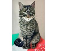 Tabby Cat Diary 2025-2026 - Academic Diary Week to View A5: September 25 to August 26 Mid Year Planner. 108 pages and glossy cover. Perfect gift for student or cat lover