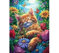 Tabby Cat in Magical Forest Rompicapo 500 Pezzi Per Regalo Di Battesimo Cartone Spesso Per Bambini Fairy Tale Cute Animal Tema Baby Per Attività Educativa Con Confezione Regalo Da Passatempo 500 PCS
