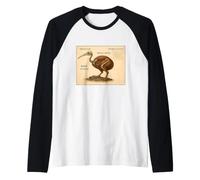 Tabella degli Uccelli Vintage Kiwi Skeleton Maglia con Maniche Raglan