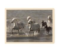 Tabella di Camargue di formato 63x45cm, gregge di cavalli al galoppo in uno stagno vicino alle Saintes-Maries de la Mer
