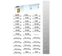 Tabella Di Crescita A Puzzle A Specchio, Tabella Di Crescita A Specchio Per Bambini, Tabella Di Crescita A Specchio Con Adesivi Di Marcatura, Righello Di Misurazione 'altezza Per La Parete