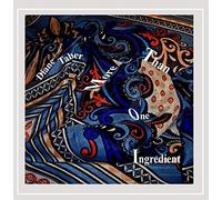 Taber Diane - More Than One Ingredient