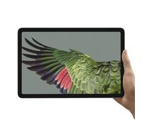 Tablet Google Pixel 256 GB, schermo LCD da 10,9 , Wi-Fi 6, Verde Salvia - Nouvo
