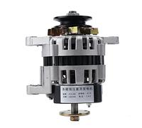 TABODD Magnete Permanente 2000W Generatore Motore Potenza 14V Piccolo Generatore Magnete Permanente Senza Spazzole Pressione Costante Casa Cuore Filo Rame Puro Per