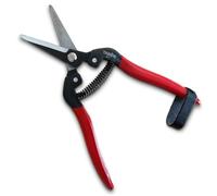 TABOR TOOLS K7E Forbice Cogliuva, Forbici per la Vendemmia, Cesoie da Potatura per Giardinaggio, Forbice Lama Dritta in Accciaio al Carbonio, Forbici da Raccolta per Fiori, Ortaggi, Piante e Uva.