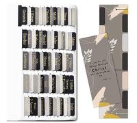 Tabs per Bibbia in lamina d'oro per uomini e donne, lettere in lamina d'oro minimaliste laminate per indice della Bibbia, 80 linguette per libri + 20 linguette vuote, facili da applicare e leggere