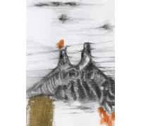 Taccuino Betulla: formato A5 - Storie della montagna