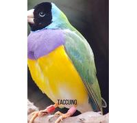 Taccuino Diamante di Gould: diaro di composizione | taccuino di Diamante di Gould | 100 pagine