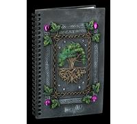 Taccuino - Dream Libro - Nemesis Now Fantasy Libro Diario Quaderno Regalo