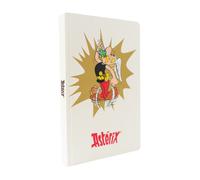 Taccuino Erik Asterix, Pozione magica (14,5x21 cm)