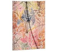 Taccuino Paperblanks copertina rigida Midi a righe Anemone - 13 x 18 cm