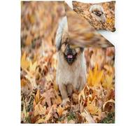 TACOKI Copripiumino Matrimoniale Barboncino Reversibile, Set di Biancheria da Letto Barboncino in Microfibra Morbido 3 Pezzi Copri Piumino 240x220 con 2 Federe, Copripiumino 3D 1522a