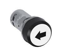 TADZKKIWM Bottoni Piatti Serie CP con Simboli Speciali CP9-1006 | 10105161