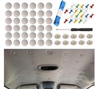 TAECOOOL Kit di Riparazione Cielo Auto: 60 Bottoni Universali con Rivetti, Tessuto a Rete, Compatibili con Tutte le Auto
