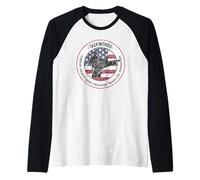 Taekwondo Tenets Vintage | Distressed USA Bandiera Martial Arts Maglia con Maniche Raglan