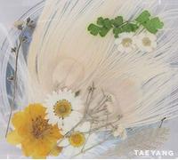 Taeyang - White Night