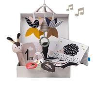 Taf Toys Confezione regalo per neonati in bianco e nero 10 giocattoli per neonati ad alto contrasto con sonaglio mobile, libro sensoriale e altro ancora giocattoli essenziali per la pancia ideale per