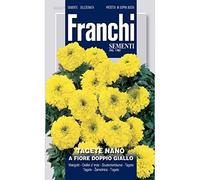 Tagete nano a fiore doppio giallo (Tagetes) (Semente)