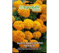 TAGETE NANO DOPPIO ARANCIO SEMI IN BUSTINA
