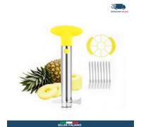 Taglia Ananas Sbuccia Ananas Taglia Ananas Acciaio Inox Affetta Ananas