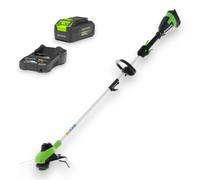 Tagliabordi 48V leggero testina doppio filo con kit caricatore e batteria GREENWORKS