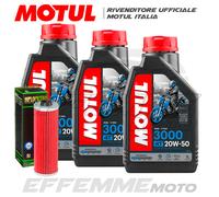 Tagliando BMW R 65 1978-1992 R65 (3 MOTUL 3000 20W50 + Filtro olio Hiflo)