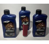 Tagliando BMW R80 GS Basic 800 cc 1996 Filtro Olio ELF Superbike 10w40
