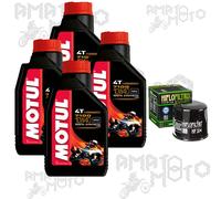 TAGLIANDO FILTRO HF138+4LT 7100 10W40 MOTUL SUZUKI GW250 INAZUMA F/Z 12-16