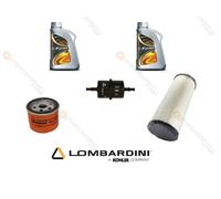 Tagliando Lombardini ORIGINALE Focs LDW502 LGW523 filtro aria olio gasolio