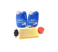 TAGLIANDO MOTORE LOMBARDINI FOX IN KIT- PROGRESS MICROCAR LIGIER CHATENET GM2826