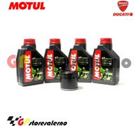 TAGLIANDO OLIO + FILTRO MOTUL 5100 15W50 DUCATI 1000 SPORT CLASSIC SINGLE 2007