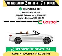 Tagliando per BMW 4 Cabriolet M4 317 kw - 7 Lt di Castrol + 3 Filtri anno 201...