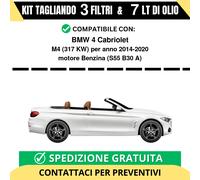 Tagliando per BMW 4 Cabriolet M4 317 kw Benzina 2014-2020 - 7 Lt di olio + 3 ...