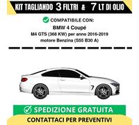 Tagliando per BMW 4 Coupé M4 GTS 368 kw Benzina 2016-2019 - 7 Lt di olio + 3 ...