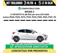 Tagliando per MAZDA 2 1.5 SKYACTIV-G 66 kw Benzina 2014-2025 - 5 Lt di CASTRO...