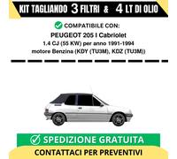 Tagliando per PEUGEOT 205 I Cabriolet 1.4 CJ 55 kw Benzina 1991-1994 - 4 Lt d...